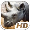 Rhino Simulator HD Animal Life