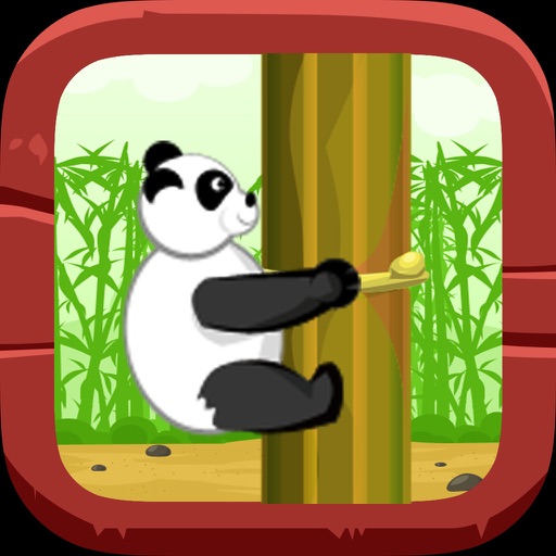 Timber Panda Climb