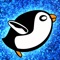 Angry Penguin Racing Madness - Cool bird race adventure