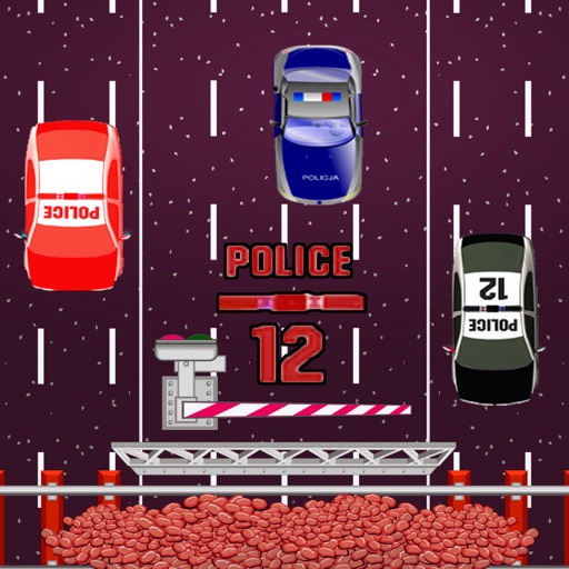 Police 12 Icon