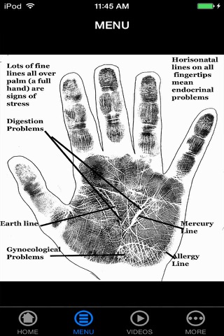 A+ Palmistry 101 - How To Read Palms For Beginners (Reveal Your Future) screenshot 4