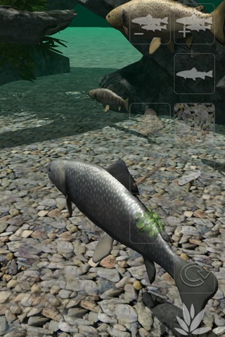 Trout Streams screenshot 2