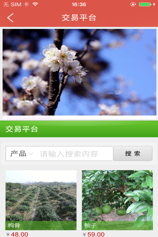 中国花木商城 screenshot 4