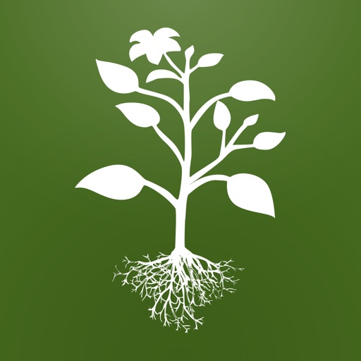 Biología - Plantas 1 icon