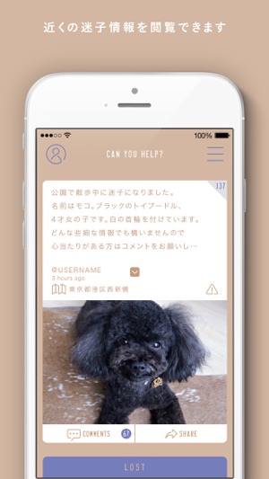 FINDOG(圖1)-速報App