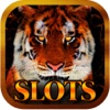 Aaaah! Animal Wild Safari Slots Journey - Free Casino Vacation Jackpot Slot Machines