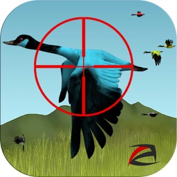 Duck Hunter : The Cowboy classic shooter