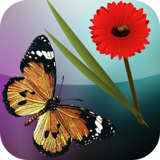 Sensory Touch and Learn - Butterflies, Fruit and Flowers Icon
