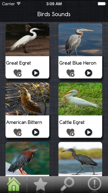 Bird Sounds - Ultimate Sounds Collections