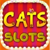 Cats Free Slots Casino Machines Jackpot