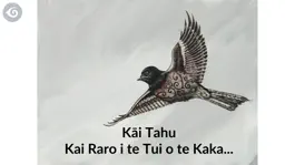 Game screenshot Kāi Tahu - A Little Bird Told Me... mod apk