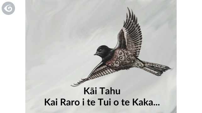 Kāi Tahu - A Little Bird Told Me...