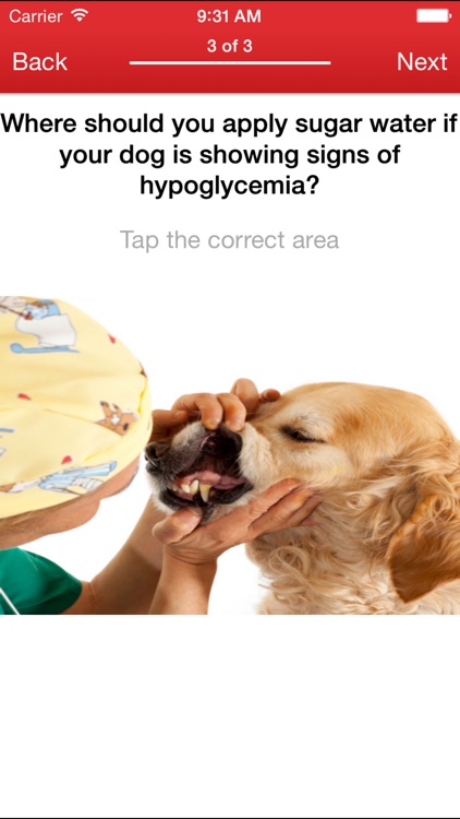 Pet First Aid by American Red Cross screenshot-3
