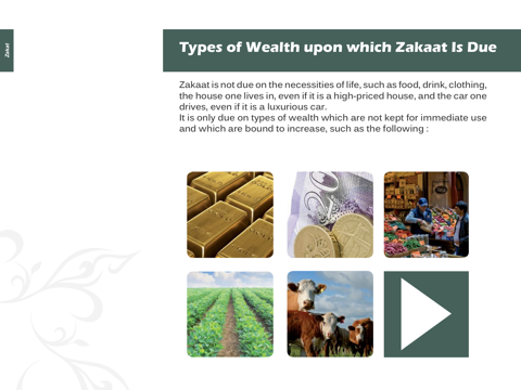 Zakat in Islam screenshot 4