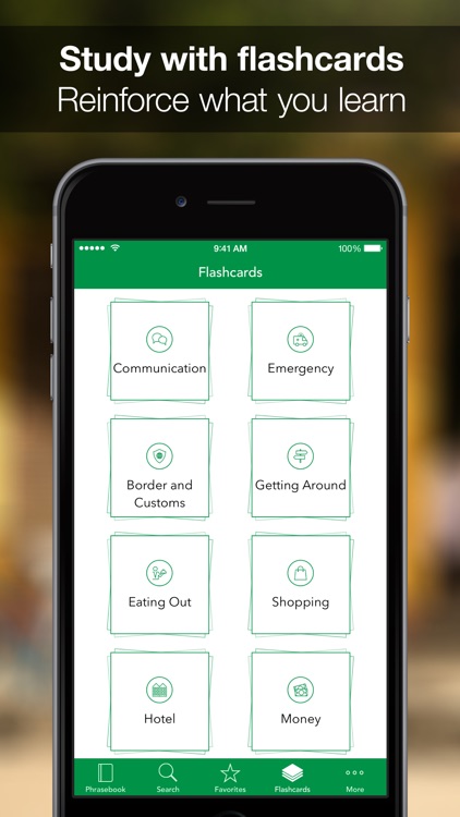 SpeakEasy Italian ~ Offline Phrasebook and Flashcards with Native Speaker Voice and Phonetics screenshot-4