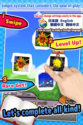 Wildflowers - Simple Pictorial Book Kids Game - screenshot 2