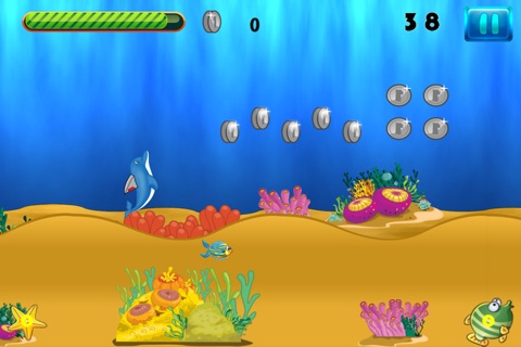 Dolphin Upsurge Adventure - Marine Dash Action Game Free screenshot 3