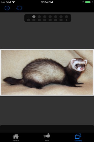 iFerret Pet Care screenshot 3