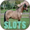 7 Lucky Dolphin Slots Machines - FREE Las Vegas Casino Games