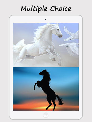 Horse Wallpapers and Backgrounds Lifestyle Horse Wallpapers