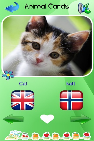 Norwegian - English Voice Flash Cards Of Animals And Tools For Small Children screenshot 3