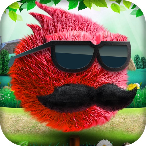 A Furry Ball Run iOS App