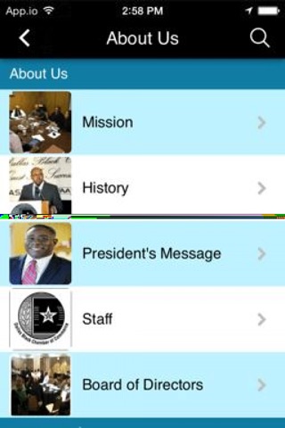 Dallas Black Chamber of Commerce screenshot 2