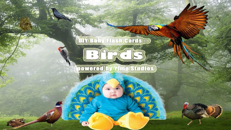 DIY Baby Flash Cards - Birds