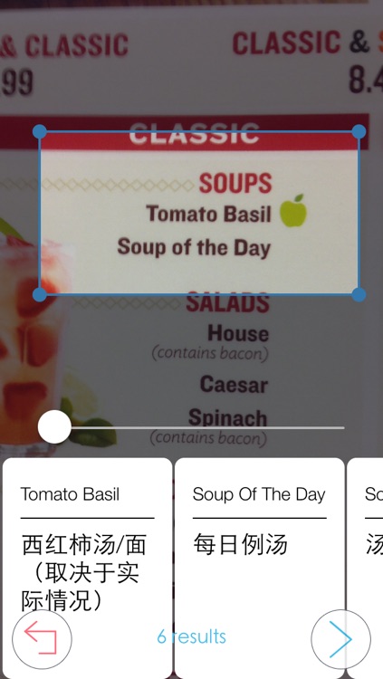 Blue Cheese - Visual Menu Translator & Dictionary screenshot-3