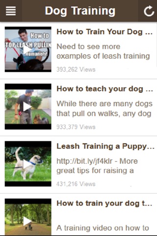 Puppy And Dog Training Tips - Discover How To Train a Dog The Right Way Yourself at Home screenshot 4