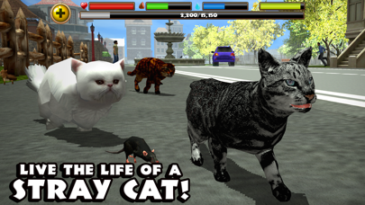Stray Cat Simulator By Gluten Free Games Ios United States Searchman App Data Information - sabretooth tiger roblox textures