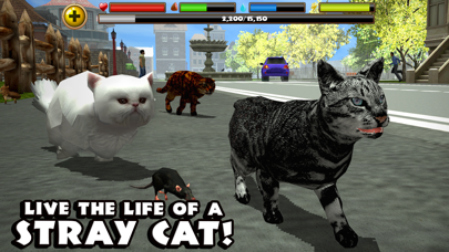 Stray Cat Simulator By Gluten Free Games Ios United States Searchman App Data Information - um a skunk xd roblox