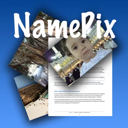 NamePix Читы