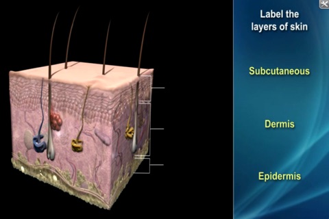 Medrills: Managing Soft-Tissue Trauma screenshot 2