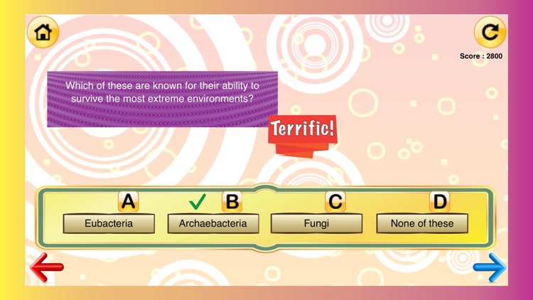 6th Grade Science Quiz # 1 : Practice Worksheets for home use and in school classrooms