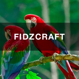 FIDZCRAFT
