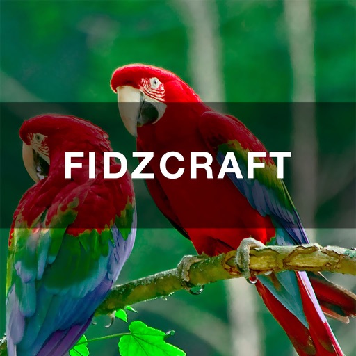 FIDZCRAFT