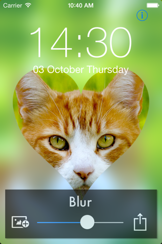 Blur Image Free -Set as ScreenLock screenshot 3