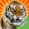 Tiger Prank Photo Editor FREE: Draw/Stamp Tigers Animal Edition