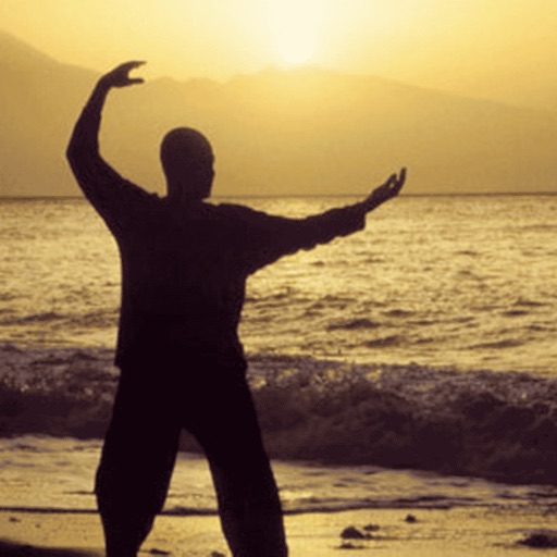 Workout Qigong PRO Version - Helps you feel you qi and achieve a feeling of calm vitality and inner peace