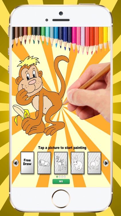 Coloring Book Zoo Animals