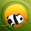 Bamboo Stick Panda