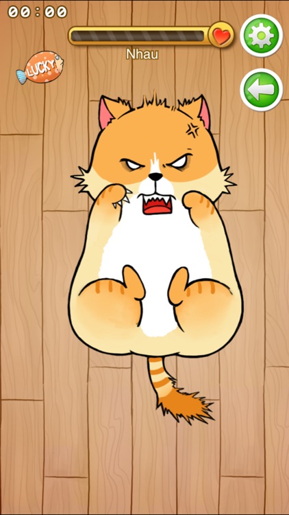 Lazy Cat and Friends