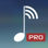 MyAudioStream HD Pro的UPnP的音频播放器和流光为iPad