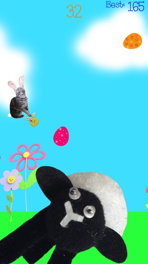 Wow Meow Bunny Cat - Free(圖2)-速報App