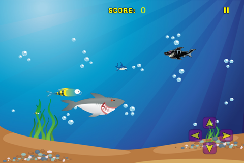 Shark Frenzy - Free screenshot 3