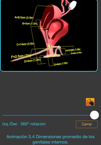Anatomia Sexual Femenina screenshot 3