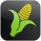 Corn Yield Finder - Combines Traditional Farming Techniques with the Simplicity of Reliably Accurate App
