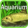 FreshWater Aquarium