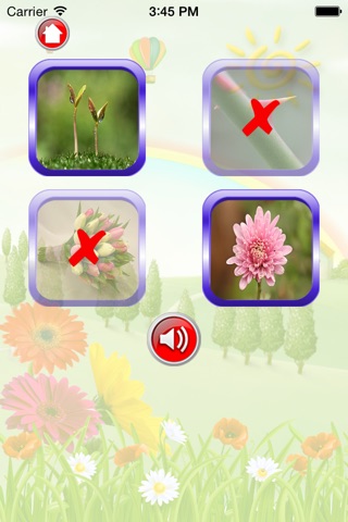 Flower For Kid - Educate Your Child To Learn English In A Different Way screenshot 2